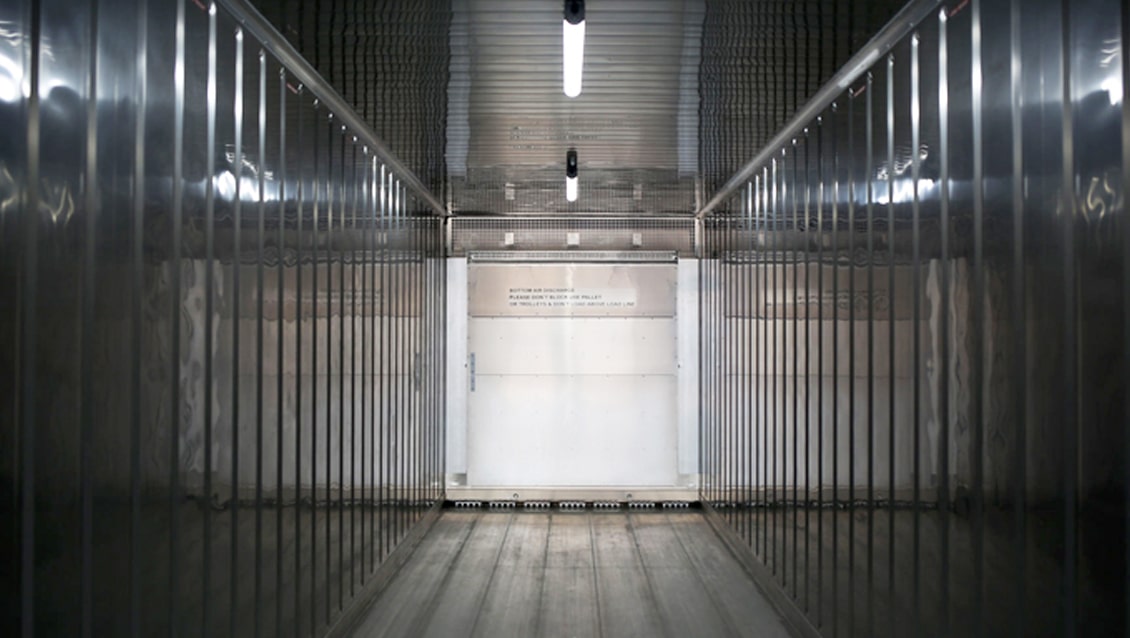 Container refrigerato da 10 piedi ArcticStore - Conservazione a freddo a noleggio