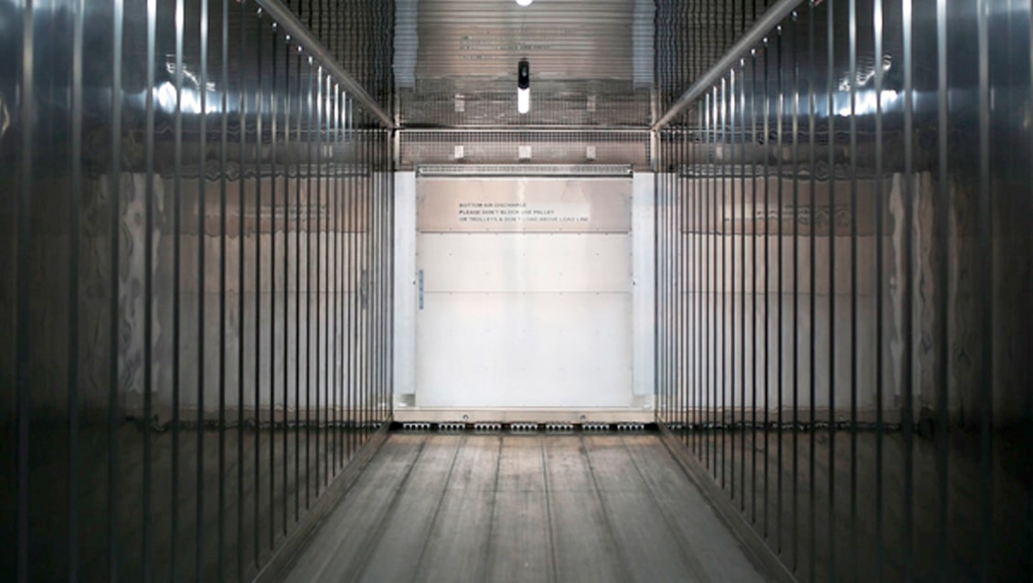 Soluzioni per la conservazione a freddo ArcticStore da 20 piedi a noleggio - Container refrigerati