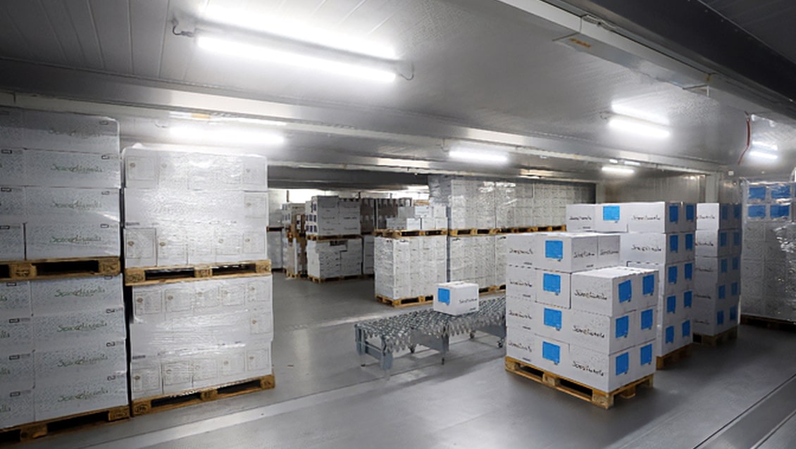 Celle frigorifere modulari Arctic SuperStore da 40 piedi - Soluzione per la conservazione a freddo