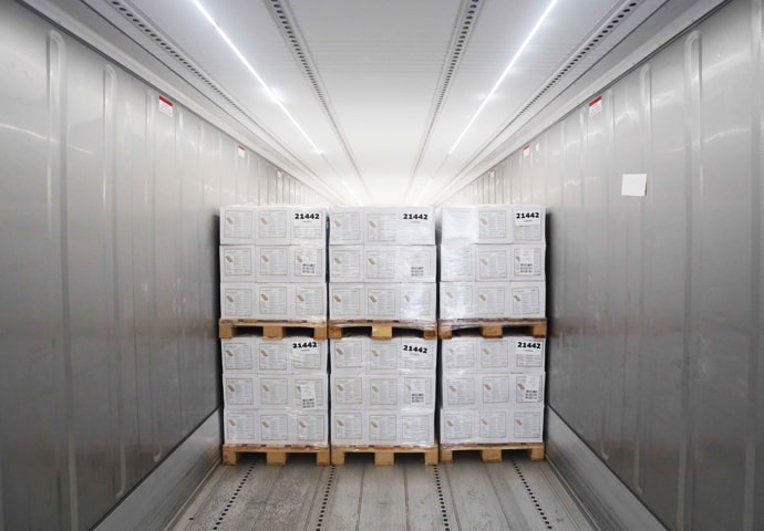 Container refrigerati per la conservazione a freddo ArcticStore a noleggio