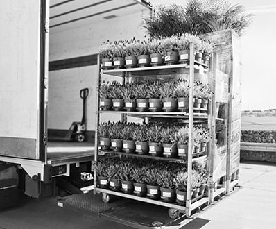 Settore agricolo – Conservazione a freddo