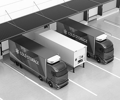 Settore della logistica della catena del freddo – Conservazione a freddo