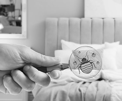 Settore della sanità pubblica e servizi – Conservazione a freddo