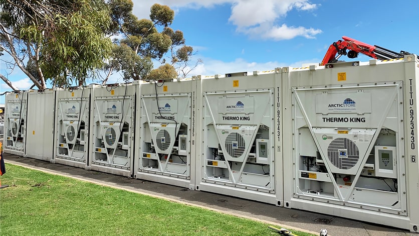 Conservazione a freddo refrigerata modulare Arctic SuperStore per il settore agricolo