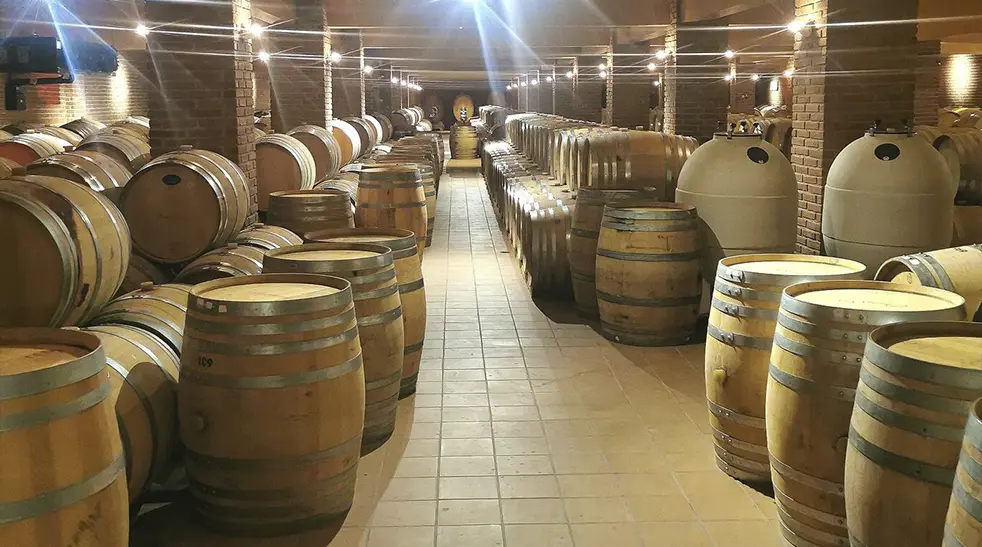 TITAN-Containers-Aziende-Vinicole_Hellas