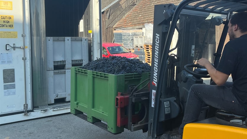 Cold Storage for Wineries