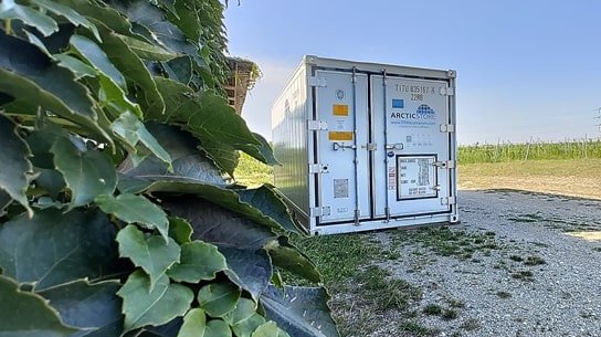 Azienda vinicola Stift Klosterneuburg